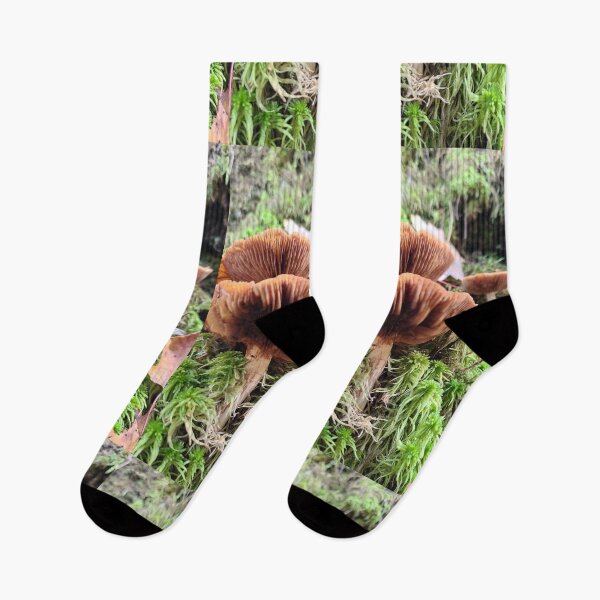 Item preview, Seta en el bosque designed and sold by Totallyalive.
