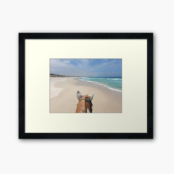 Horse on the beach Framed Art Print