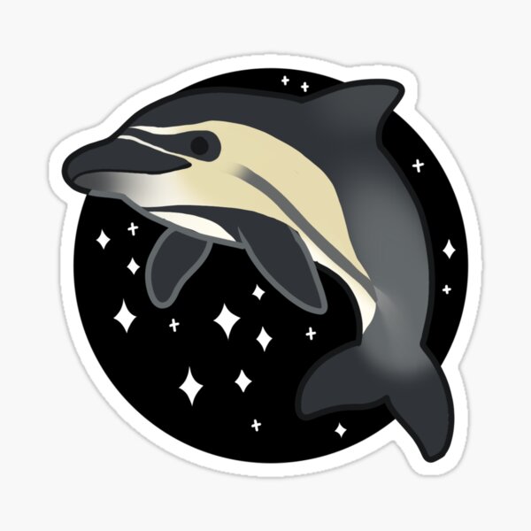 Common Dolphin Sticker For Sale By Owlapin Redbubble 1605