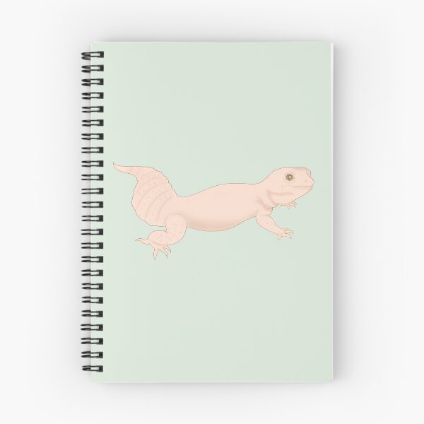 Item preview, Leopard Gecko designed and sold by transfixt.