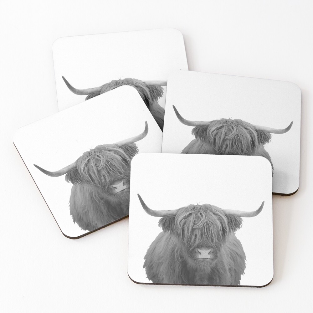 Highland Hairy Cow Black White Coasters (Set of 4)