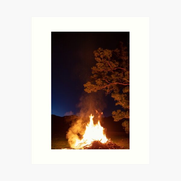 Bonfire under eucalypt Art Print