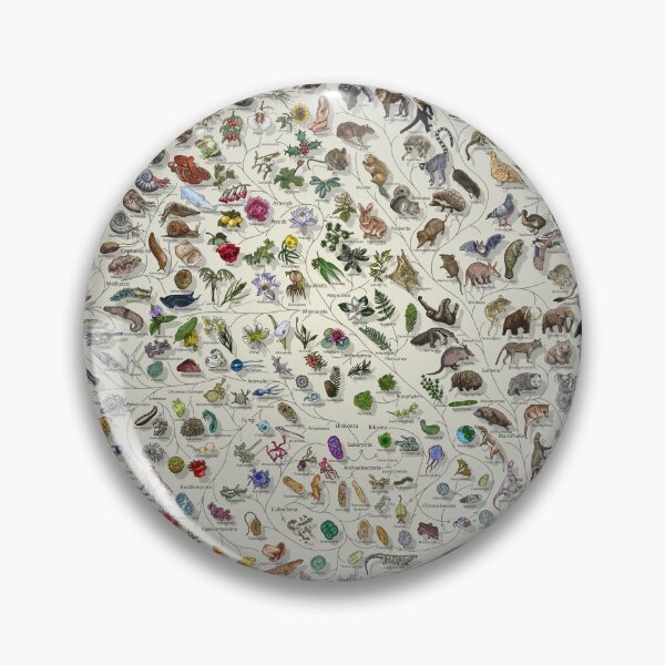 Item preview, Tree of Life Poster - Animal and Plant Evolution - Colour (Scientific Annotations others available) Fade designed and sold by EvolutionPoster.