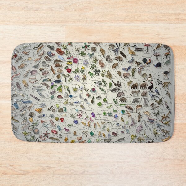 Item preview, Tree of Life Poster - Animal and Plant Evolution - Colour (Scientific Annotations others available) Fade designed and sold by EvolutionPoster.