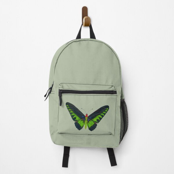 Aperçu de l'œuvre Papillon Birdwing de Raja Brook créée et vendue par ColorSplendor.