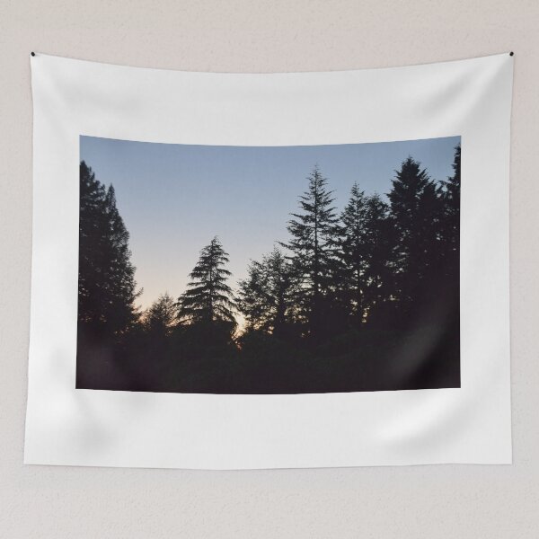 Item preview, Arcata Community Forest, Arcata, California designed and sold by Mike Kunes.