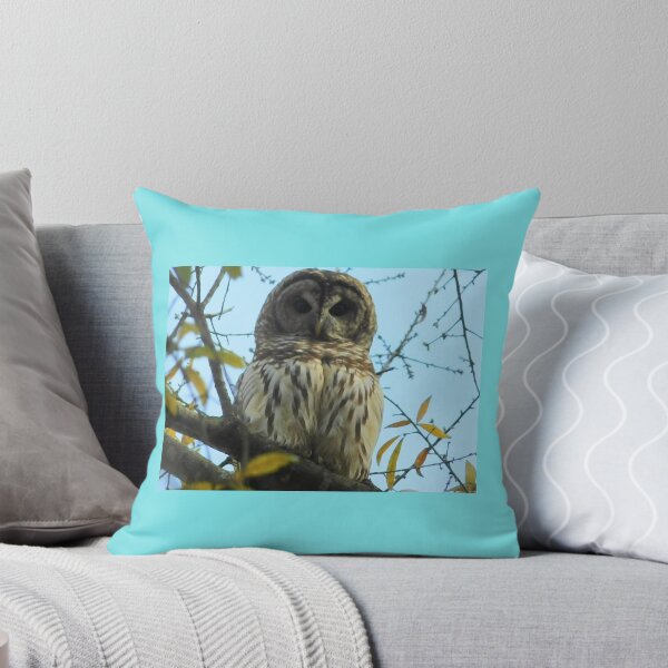 Item preview, Owl designed and sold by Pretty-Printz.