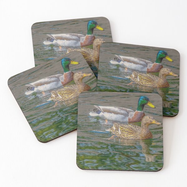 Item preview, Mallard Duck Pair, Birds, Bird, Nature, Pond, Outdoors,  designed and sold by DAM Creative ⭐⭐⭐⭐⭐.