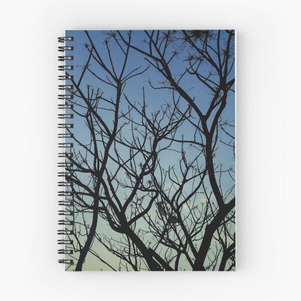 Aperçu de l'œuvre Arbre créée et vendue par Sirus A.