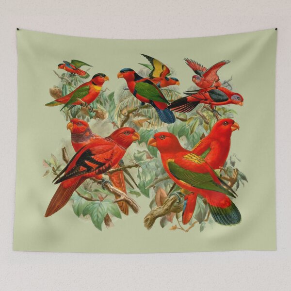 Item preview, Red Parrots, Blue Eclectus Parrot, King Parrot, beautiful colorful birds, collage of bright red vintage bird drawings, beautiful feathers designed and sold by Orianah.