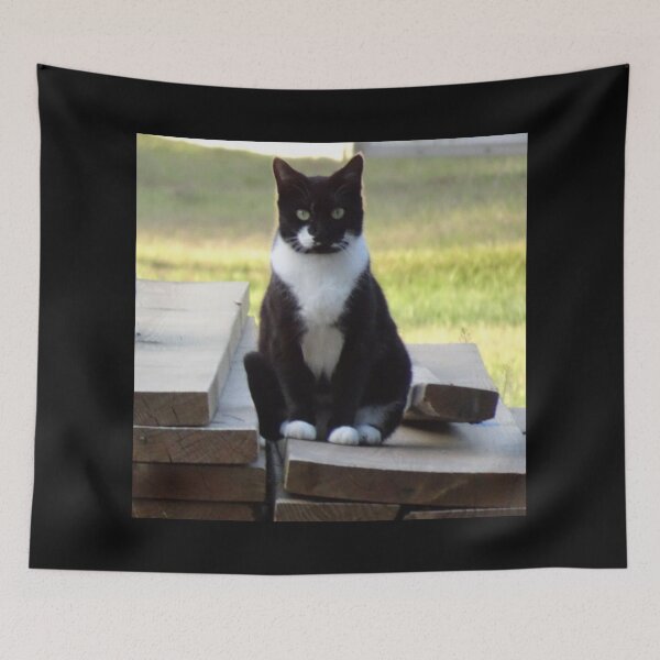 Item preview, Gorgeous Glaring Tuxedo Cat  designed and sold by Latorih10.
