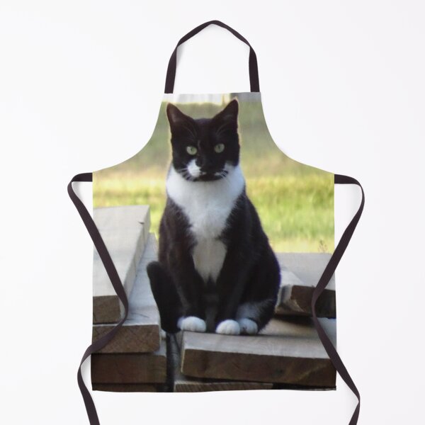 Item preview, Gorgeous Glaring Tuxedo Cat designed and sold by Latorih10.