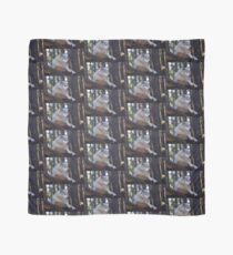 Timber Wolf Sentinel Scarf