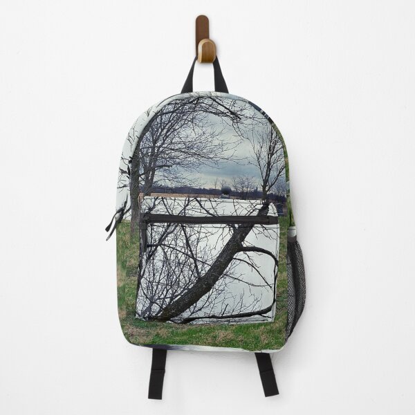 Item preview, Graveyard with Bare Trees Under an Overcast Sky designed and sold by Mothe3rd.