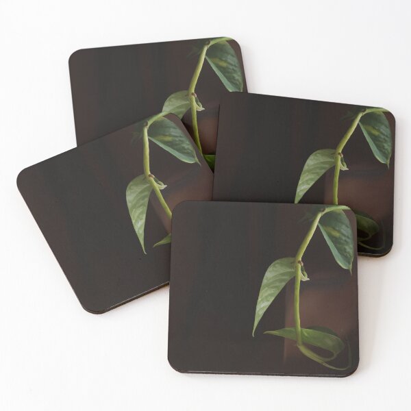 Item preview, Devils Ivy designed and sold by Mossy Frog Witch.