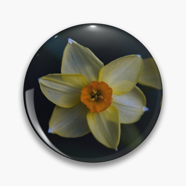 Item preview, Daffodil designed and sold by Kitkatfoxx.