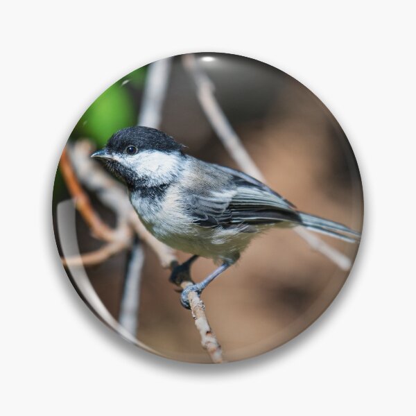 Item preview, Chickadee designed and sold by Greg Birkett.