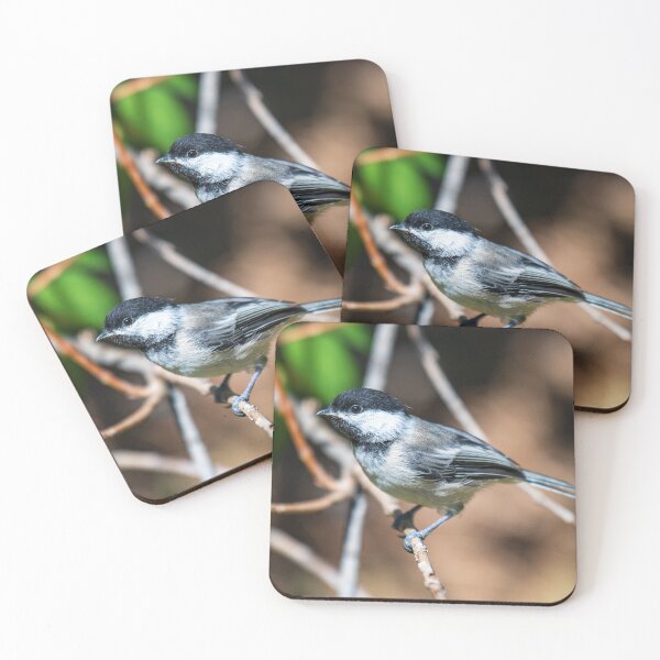 Item preview, Chickadee designed and sold by Greg Birkett.