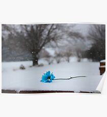 Bitter Blue Poster