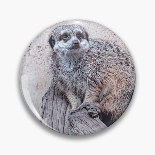 Item preview, Portrait of a Meerkat designed and sold by Catherine Reading.