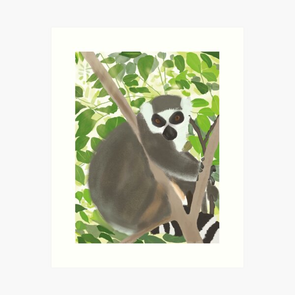 Ring-tailed Lemur in Jungle, Forest, Animal, Madagascar. Graphic illustration print, Wall art, interior art, home deco Art Print