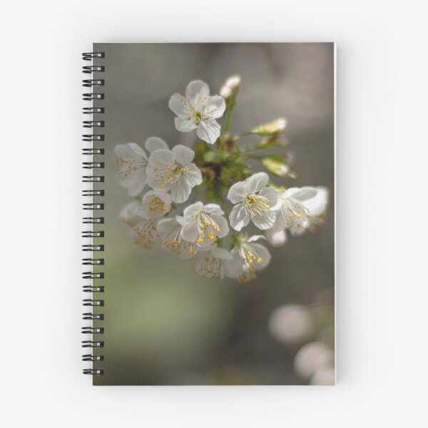 Item preview, The pure beauty of the cherry blossom designed and sold by ritadilalla.