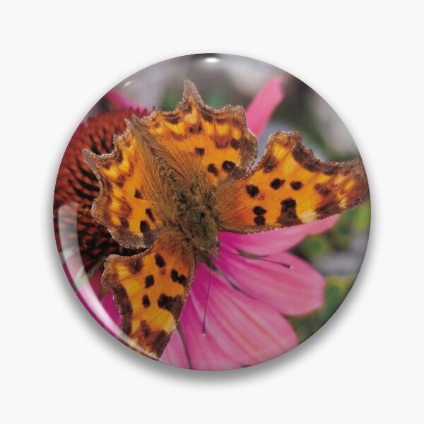 Item preview, Comma butterfly on pink flower designed and sold by Siakula.