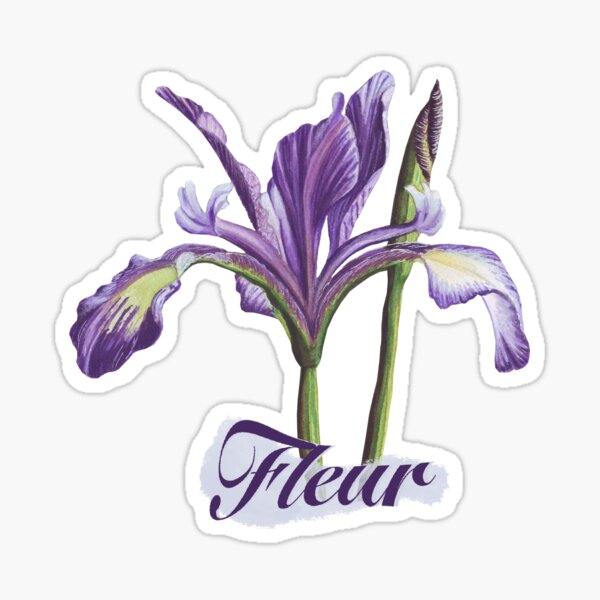 Purple Iris with typography fleur Sticker