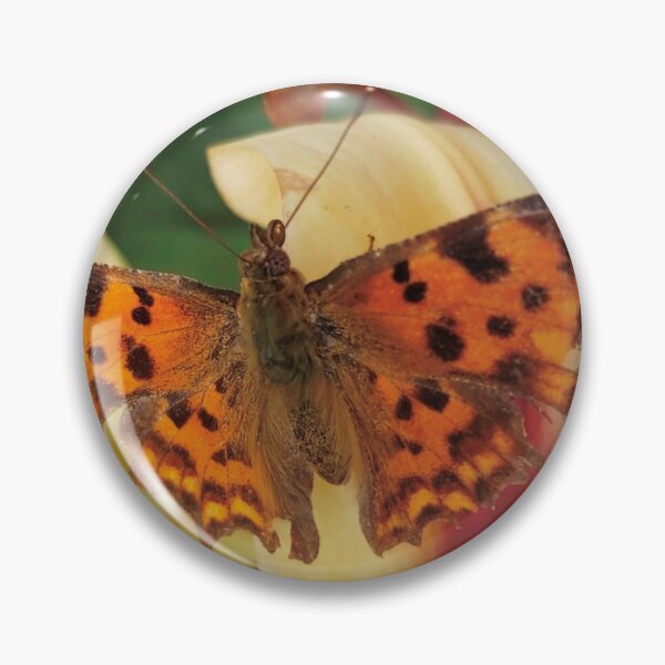 Item preview, Comma butterfly in garden designed and sold by Siakula.