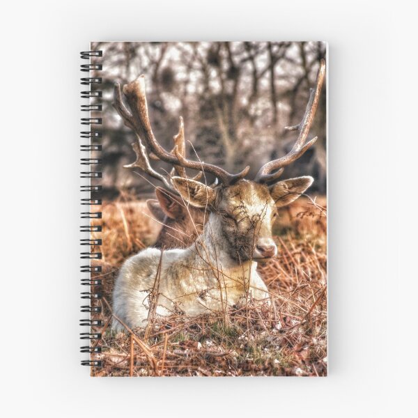 Item preview, H-Deer-R designed and sold by TerriWatson.
