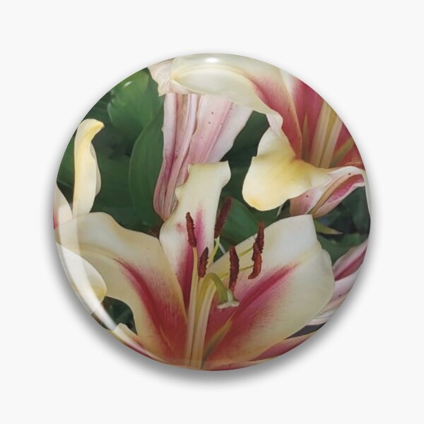 Item preview, Stargazer oriental lilies flowers designed and sold by Siakula.