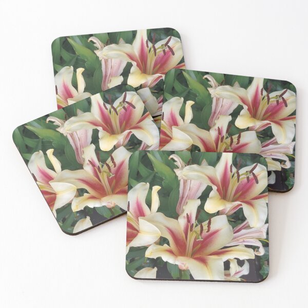 Item preview, Stargazer oriental lilies flowers designed and sold by Siakula.