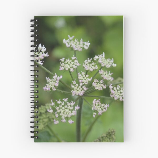 Item preview, flowers in white  designed and sold by Lucindaslens.