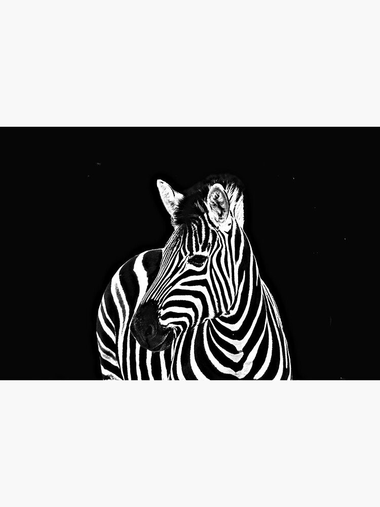 "Zebra Face Animal Portrait 4" Sticker for Sale by worldways Redbubble