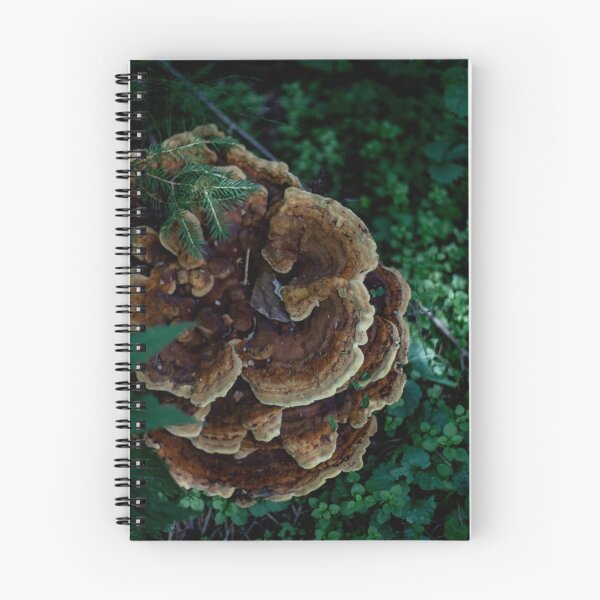 Item preview, Large Mushroom designed and sold by MsDunwich.