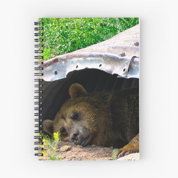 Item preview, Rexburg Idaho - Bear Time designed and sold by IMAGETAKERS.