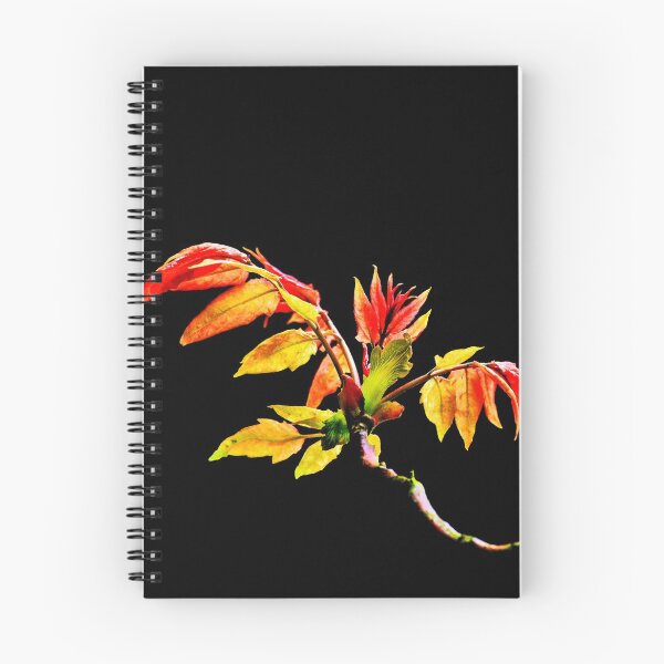 Item preview, Autumn leaves designed and sold by SUEperPIX.