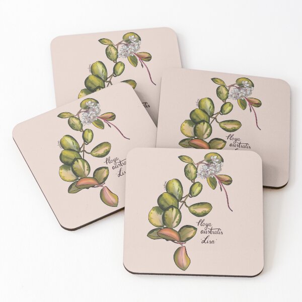 Item preview, Hoya australis Lisa in bloom designed and sold by Wieskunde.