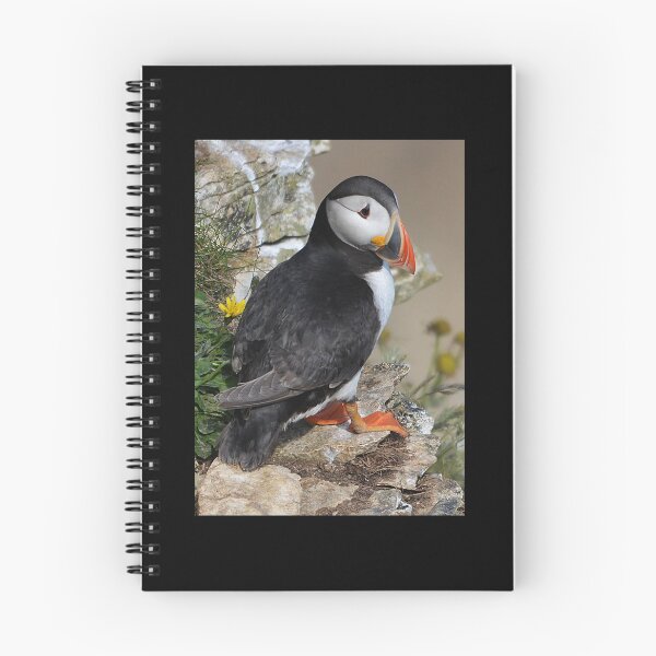 Item preview, Puffin on Cliffside designed and sold by ClaireChown.