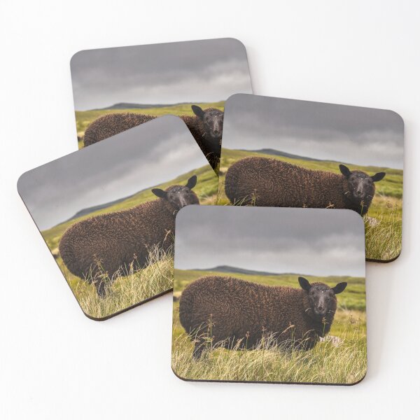 Item preview, A cute black sheep grazes on an Irish meadow in County Donegal designed and sold by AlbertMi.