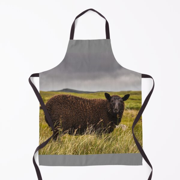 Item preview, A cute black sheep grazes on an Irish meadow in County Donegal designed and sold by AlbertMi.