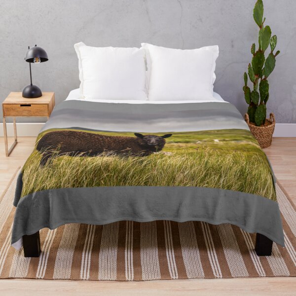 Item preview, A cute black sheep grazes on an Irish meadow in County Donegal designed and sold by AlbertMi.
