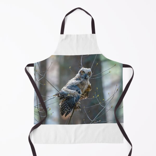 Item preview, Great Horned Owlet Learning to Fly designed and sold by Kevin Komiega.