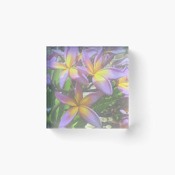 Item preview, PURPLE FRANGIPANI  designed and sold by Opalbluerose.