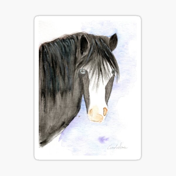 Aperçu de l'œuvre Adorable poney aux yeux bleus créée et vendue par Cindy Smith.