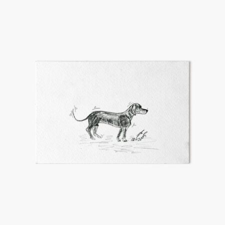 Animals Dogs Dachshund Art Board Print
