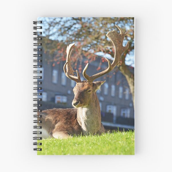 Item preview, The Urban Deer designed and sold by ClaireChown.