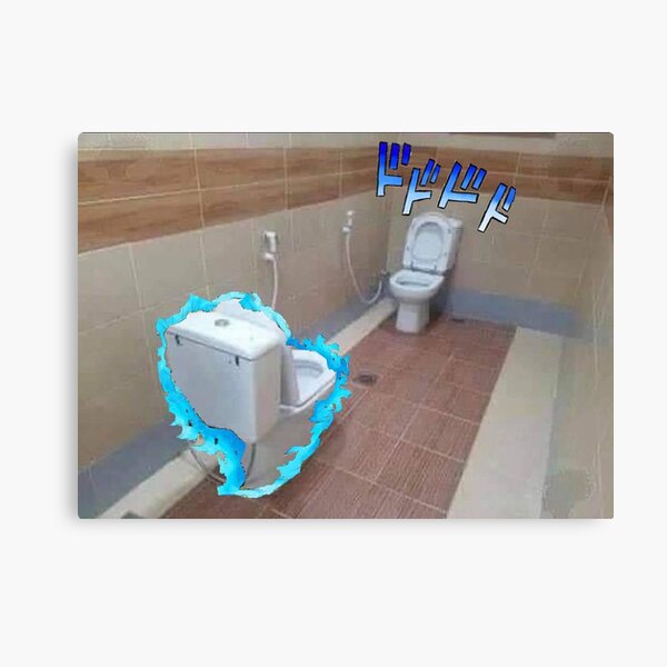jojo maman toilet seat