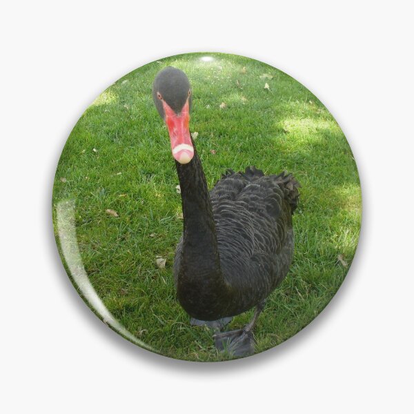 Item preview, Black Swan designed and sold by KaSaPo.