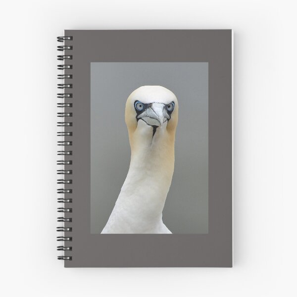Item preview, Inquisitive Northern Gannet designed and sold by ClaireChown.